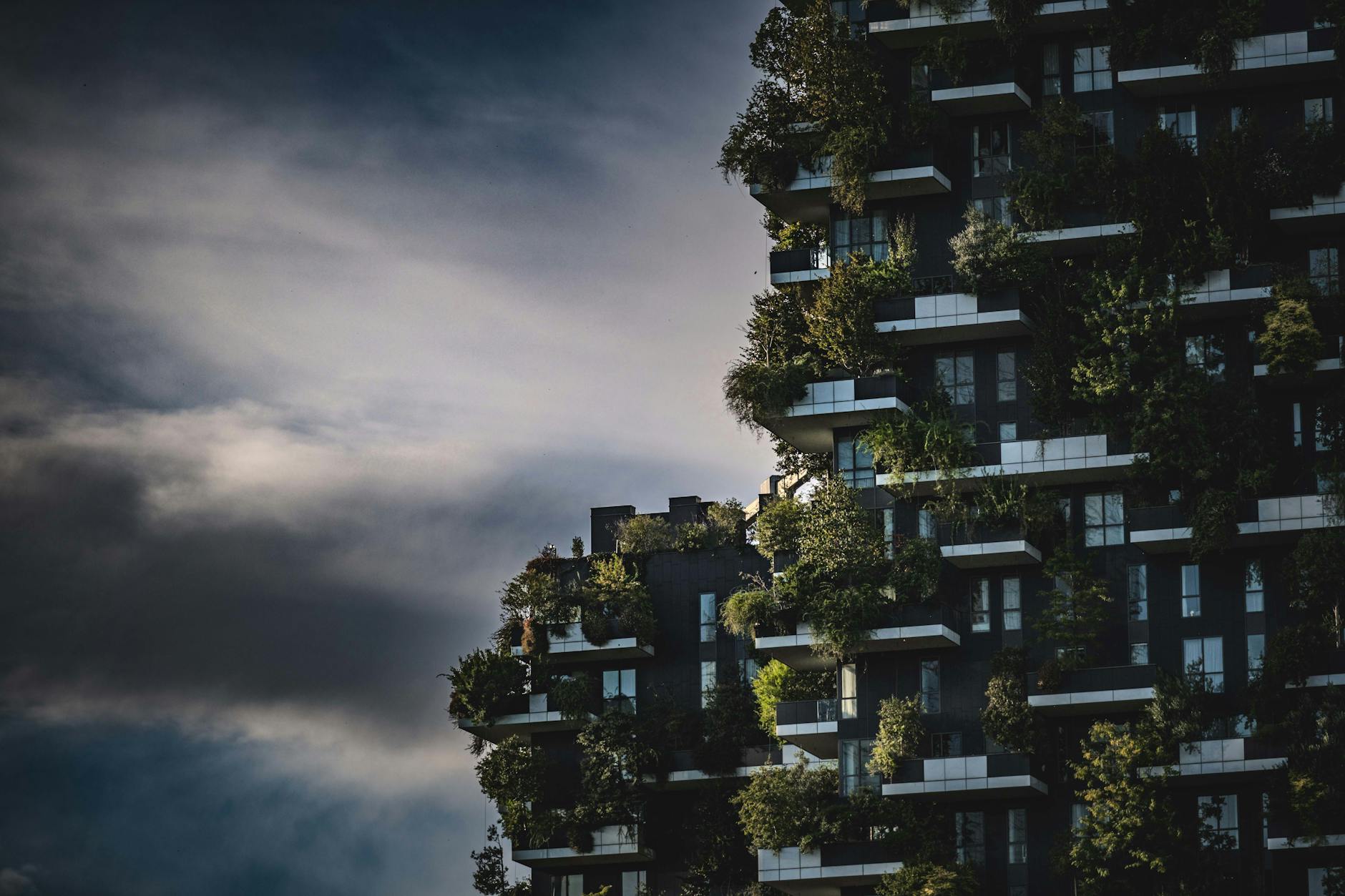 Nachhaltiges Bauen – Gebäude mit begrünter Fassade